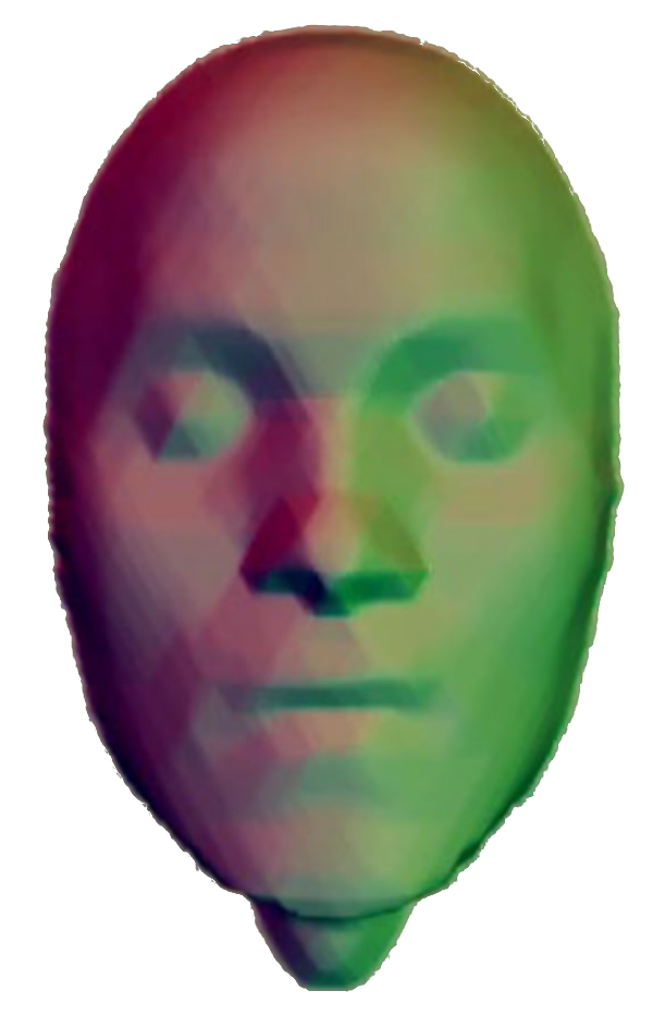 Face HTV