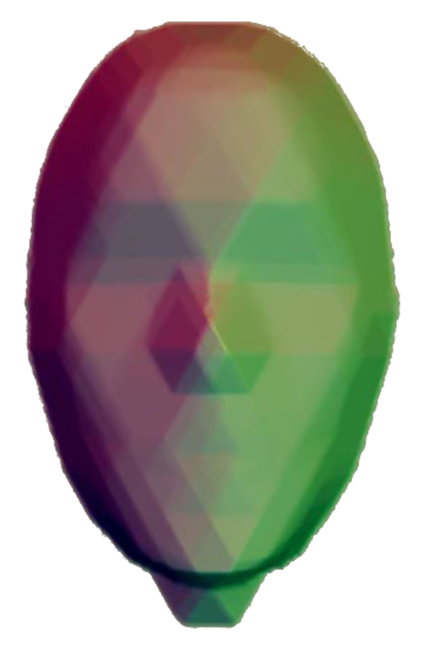 Face HTV Sparser