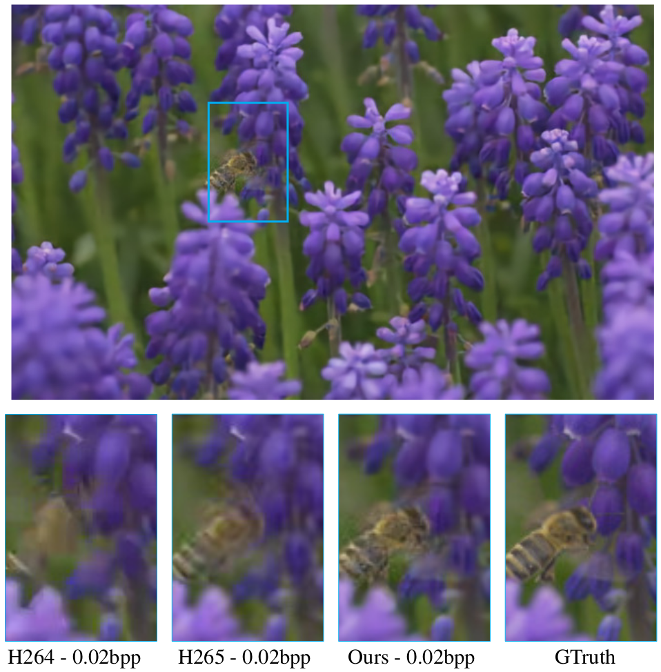 Video Compression